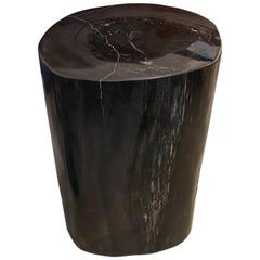Andrianna Shamaris Super Smooth Black Toned Petrified Wood Side Table