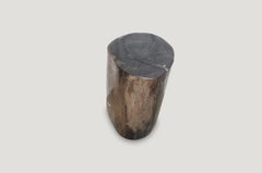 Andrianna Shamaris Super Smooth Classic Dark Petrified Wood Side Table