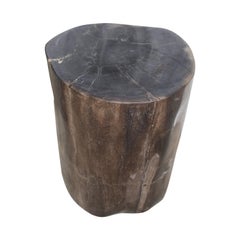 Andrianna Shamaris Super Smooth Classic Dark Petrified Wood Side Table