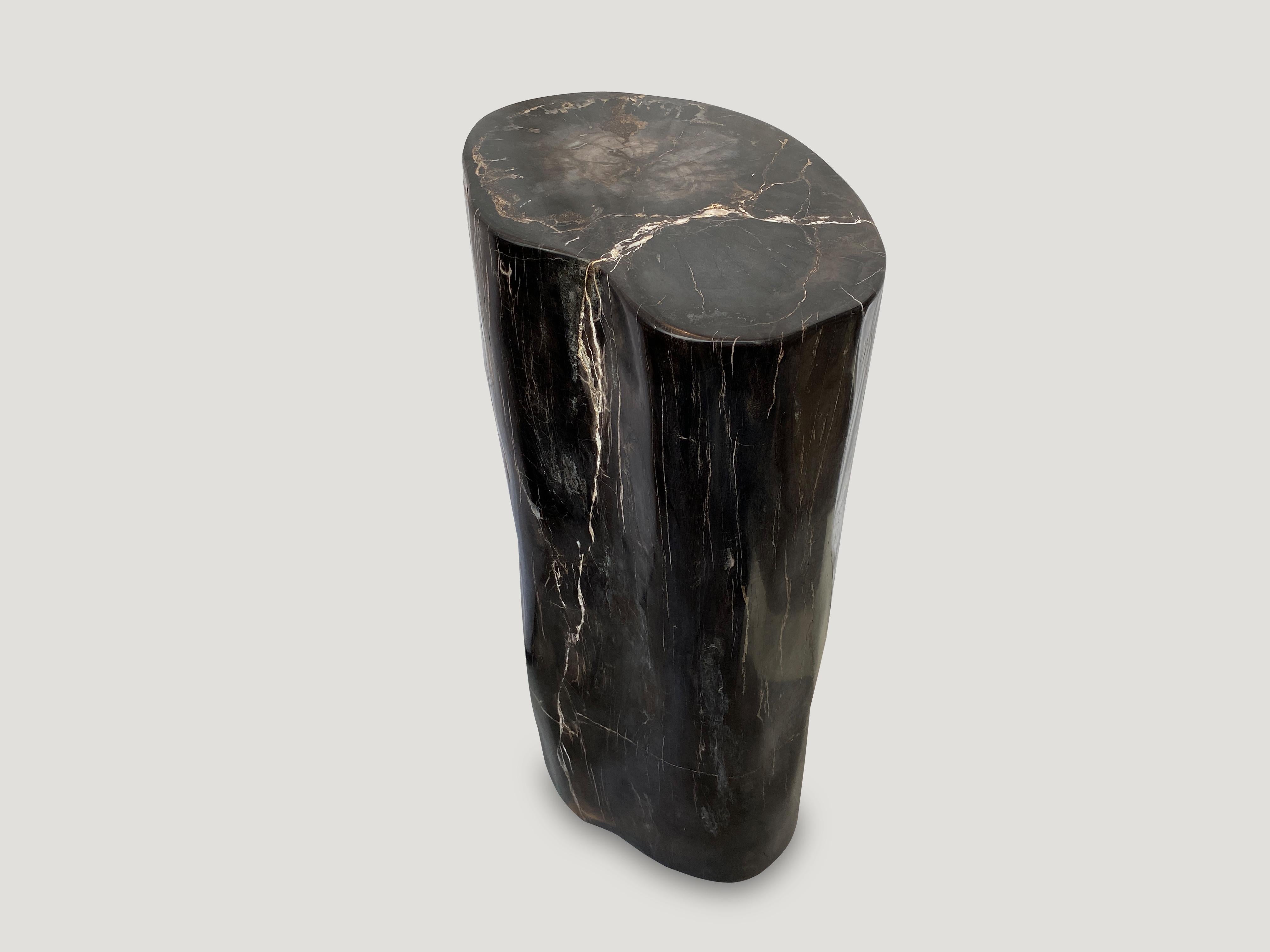 Impressive super smooth high quality petrified wood pedestal or side table. We have a pair cut from the same petrified wood log. The size and images reflect the single one shown. The pair are shown together in the final images.

As with a diamond,