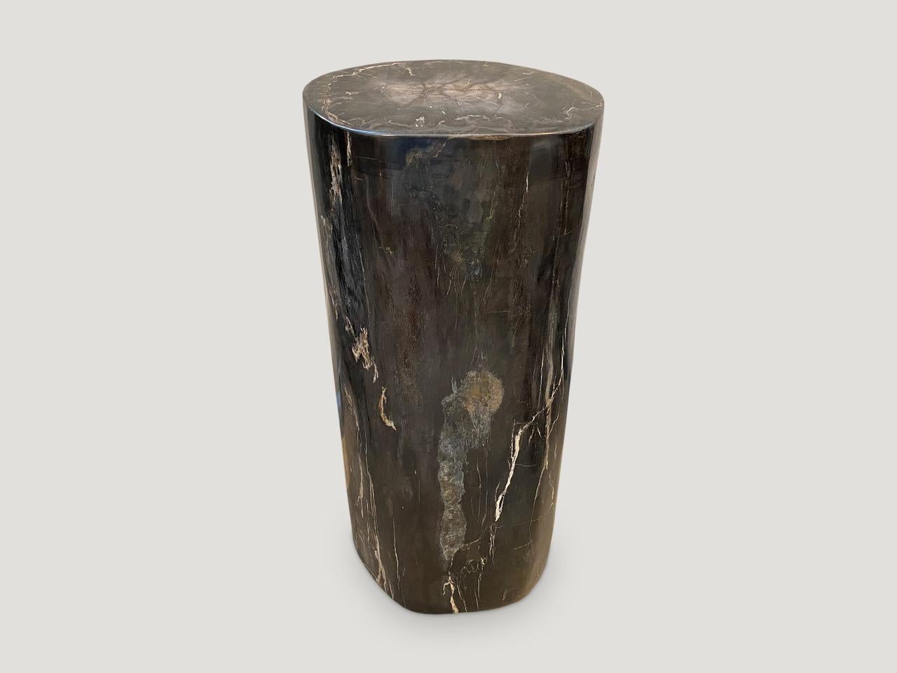 Impressive super smooth high quality petrified wood pedestal or side table. It’s fascinating how Mother Nature produces these exquisite 40 million year old petrified teak logs with such contrasting colors and natural patterns throughout. Modern yet