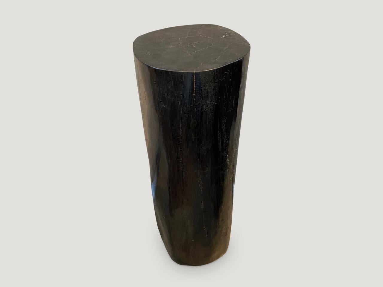 Impressive super smooth high quality petrified wood pedestal or side table. We have a pair cut from the same petrified wood log. The pair are shown together in the final images. The size and images reflect the single one shown.

As with a diamond,