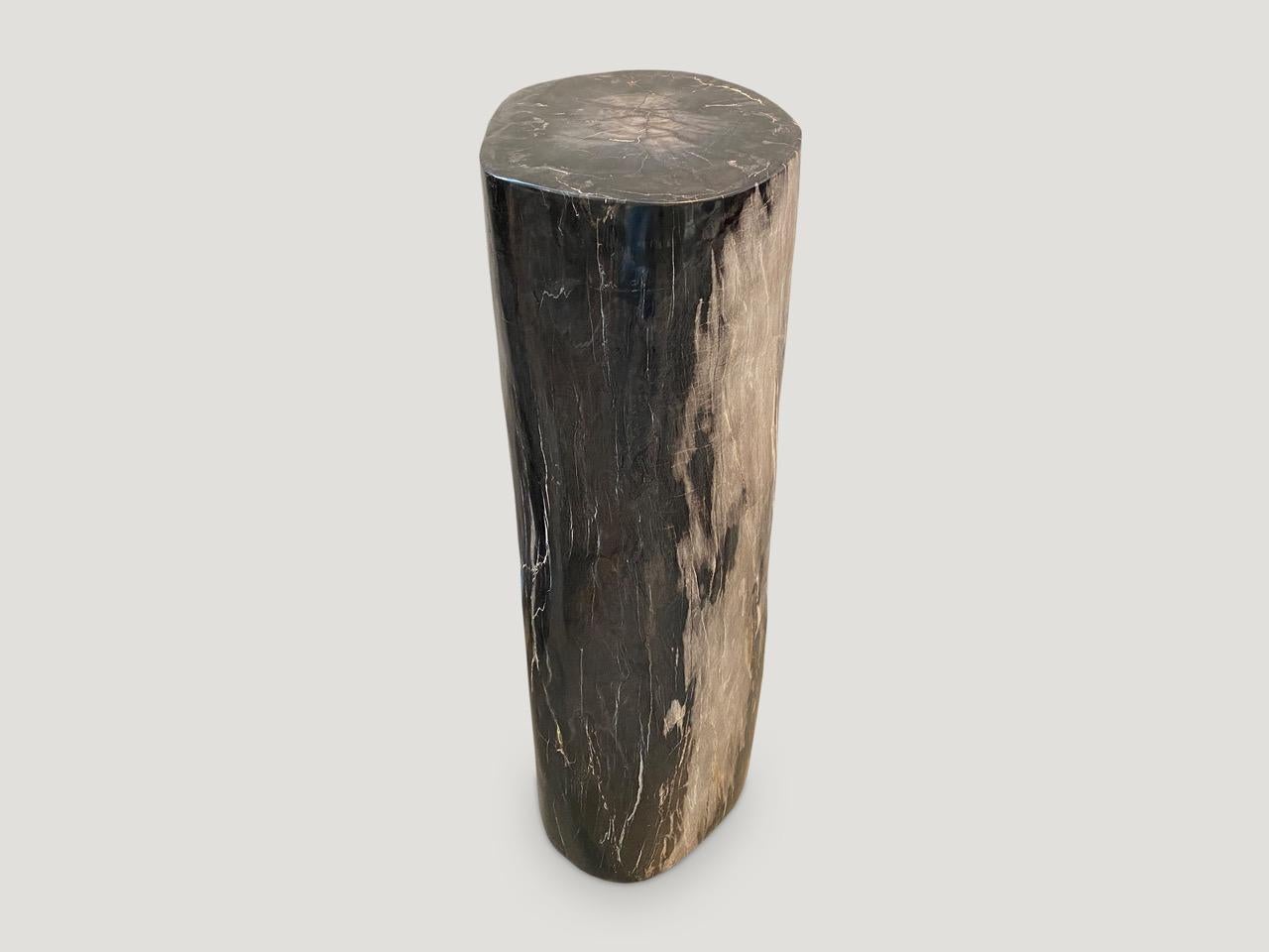 Organic Modern Andrianna Shamaris Super Smooth Column Petrified Wood Pedestal