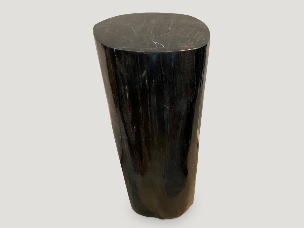 Organic Modern Andrianna Shamaris Super Smooth Column Petrified Wood Pedestal