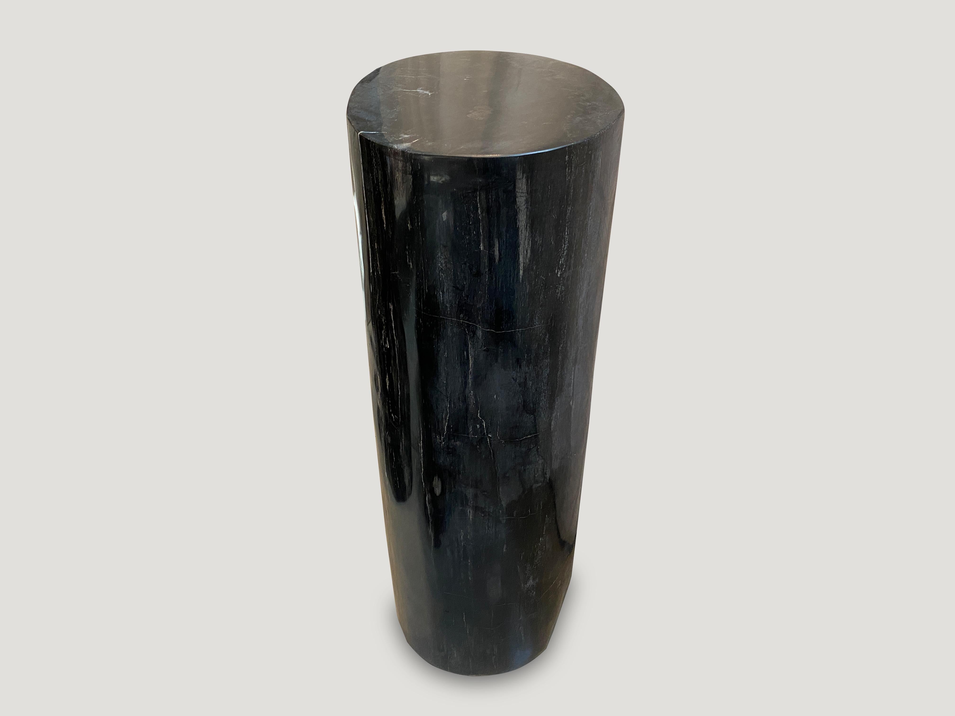 Organic Modern Andrianna Shamaris Super Smooth Column Petrified Wood Pedestal For Sale