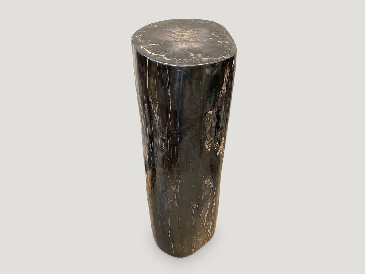 Andrianna Shamaris Super Smooth Column Petrified Wood Pedestal In Excellent Condition In New York, NY