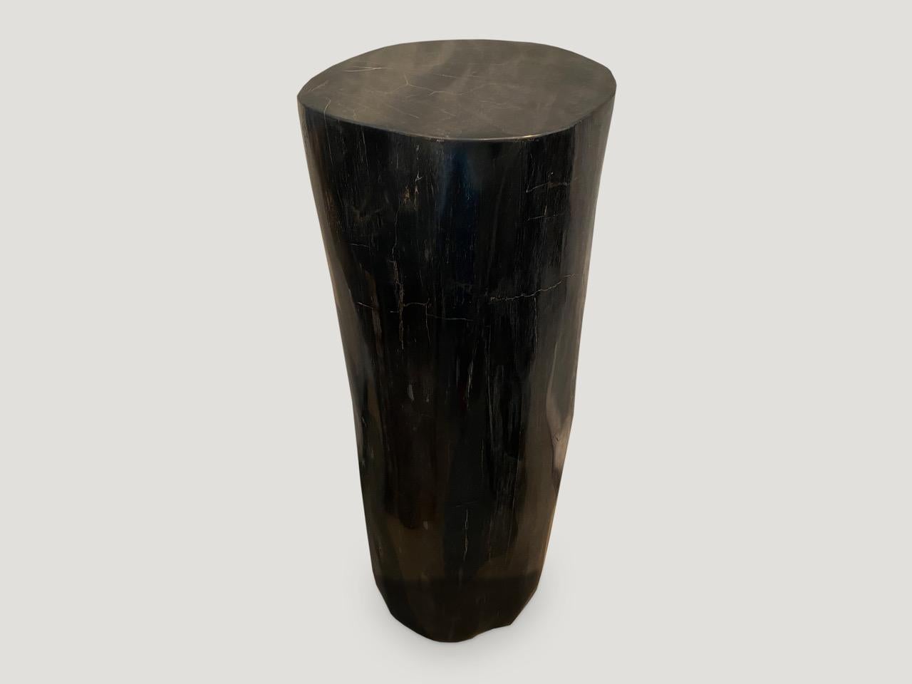 Andrianna Shamaris Super Smooth Column Petrified Wood Pedestal In Excellent Condition In New York, NY