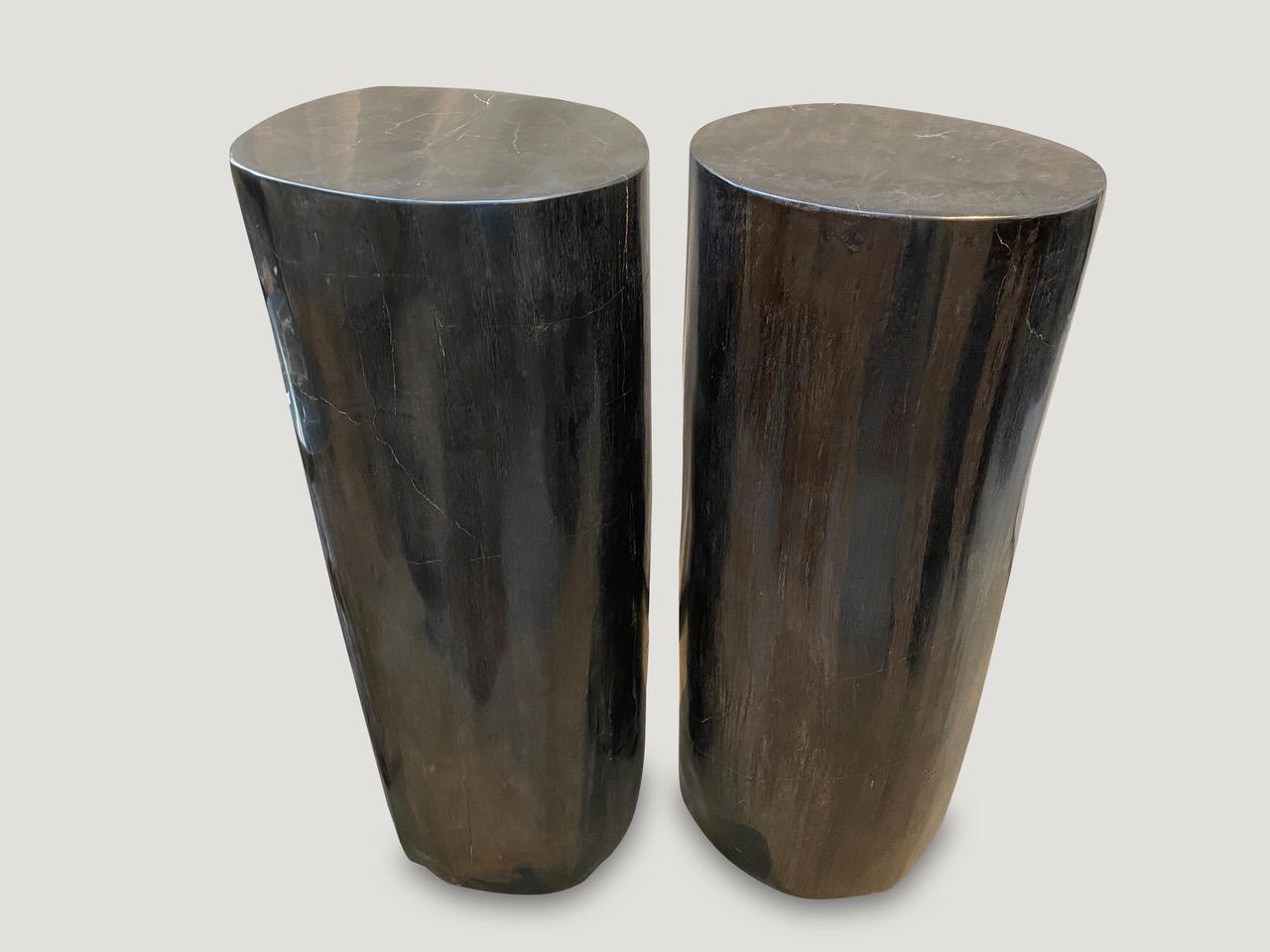 Andrianna Shamaris Super Smooth Column Petrified Wood Pedestal 1