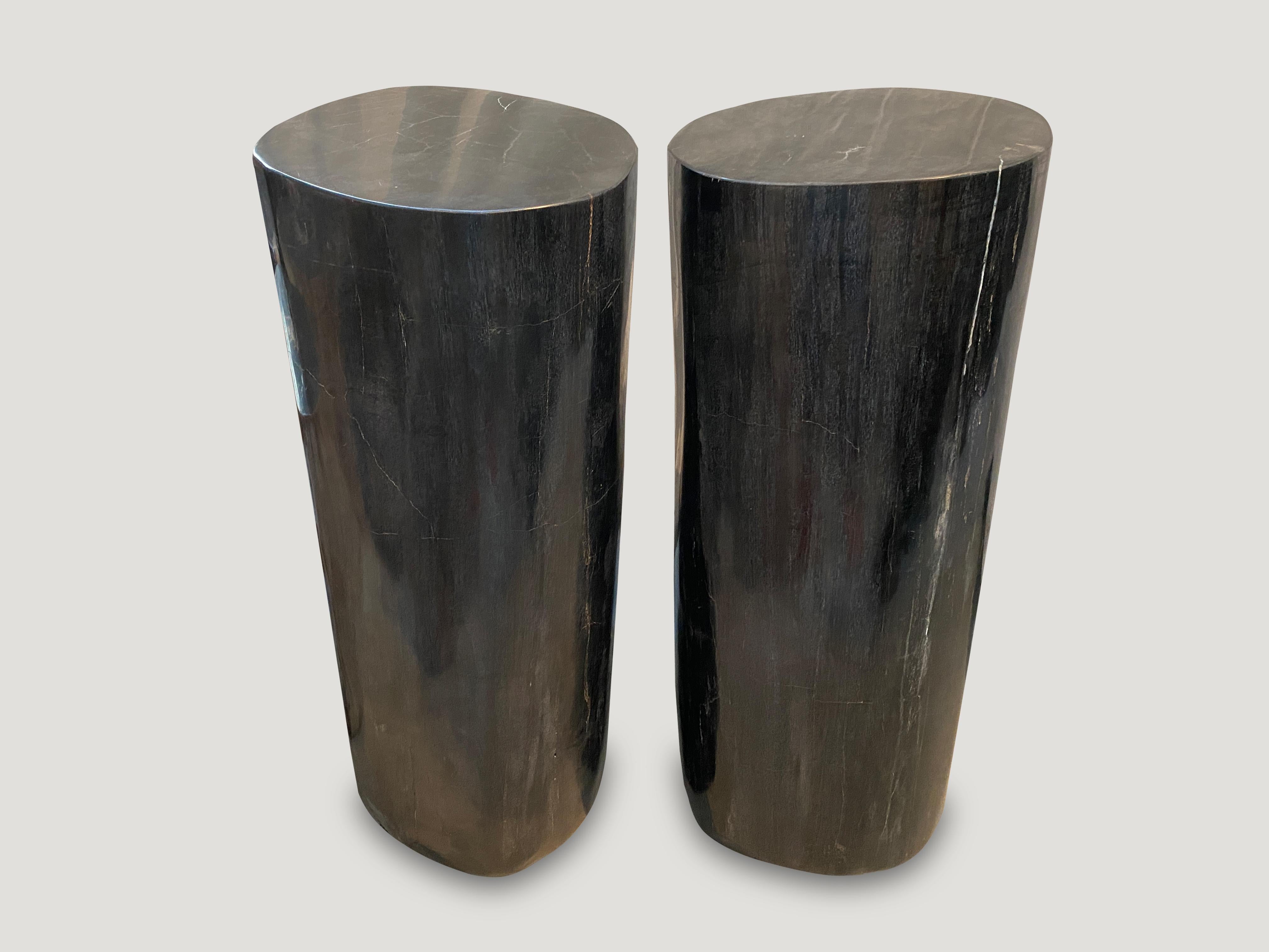 Andrianna Shamaris Super Smooth Column Petrified Wood Pedestal For Sale 1