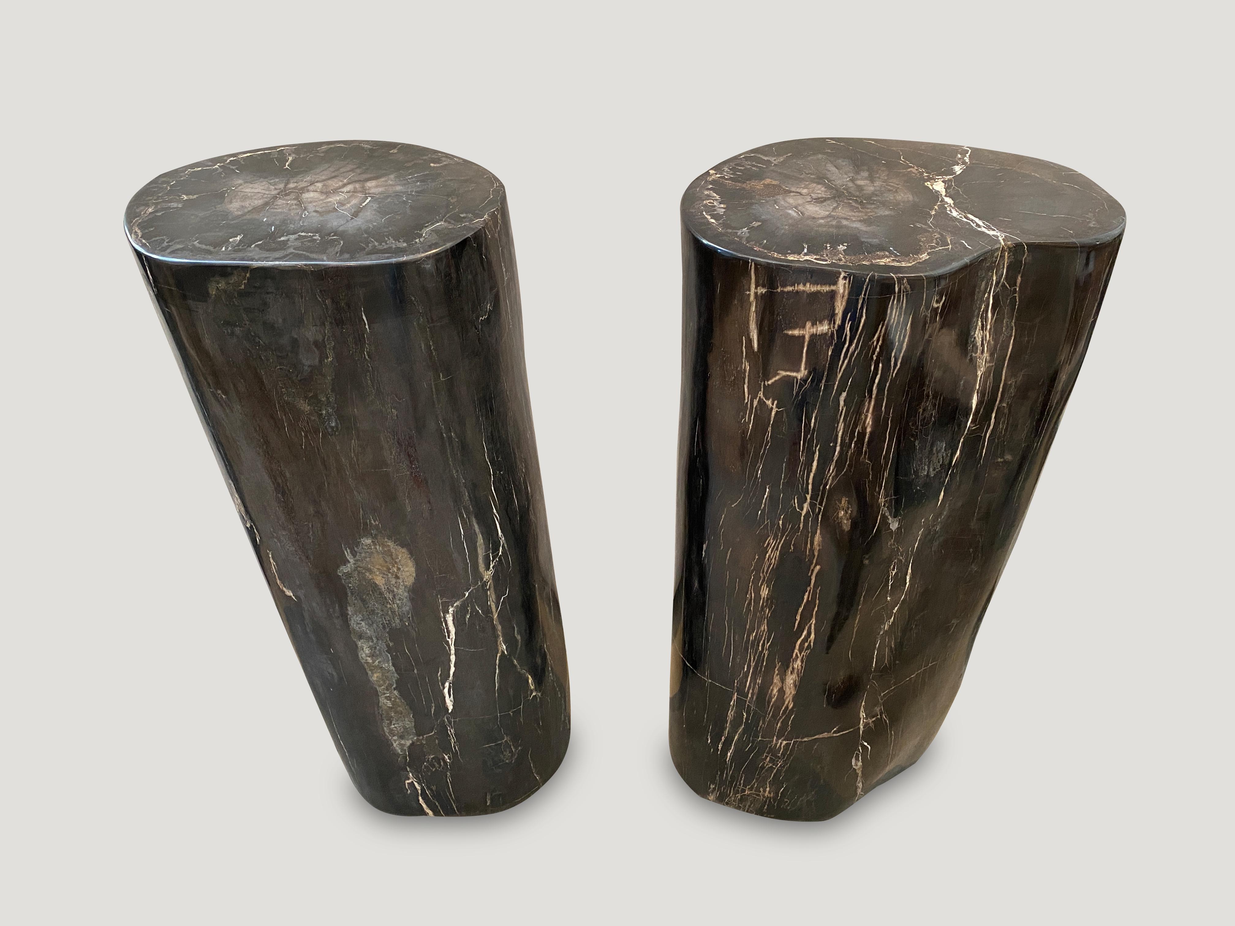 Andrianna Shamaris Super Smooth Column Petrified Wood Pedestal 2