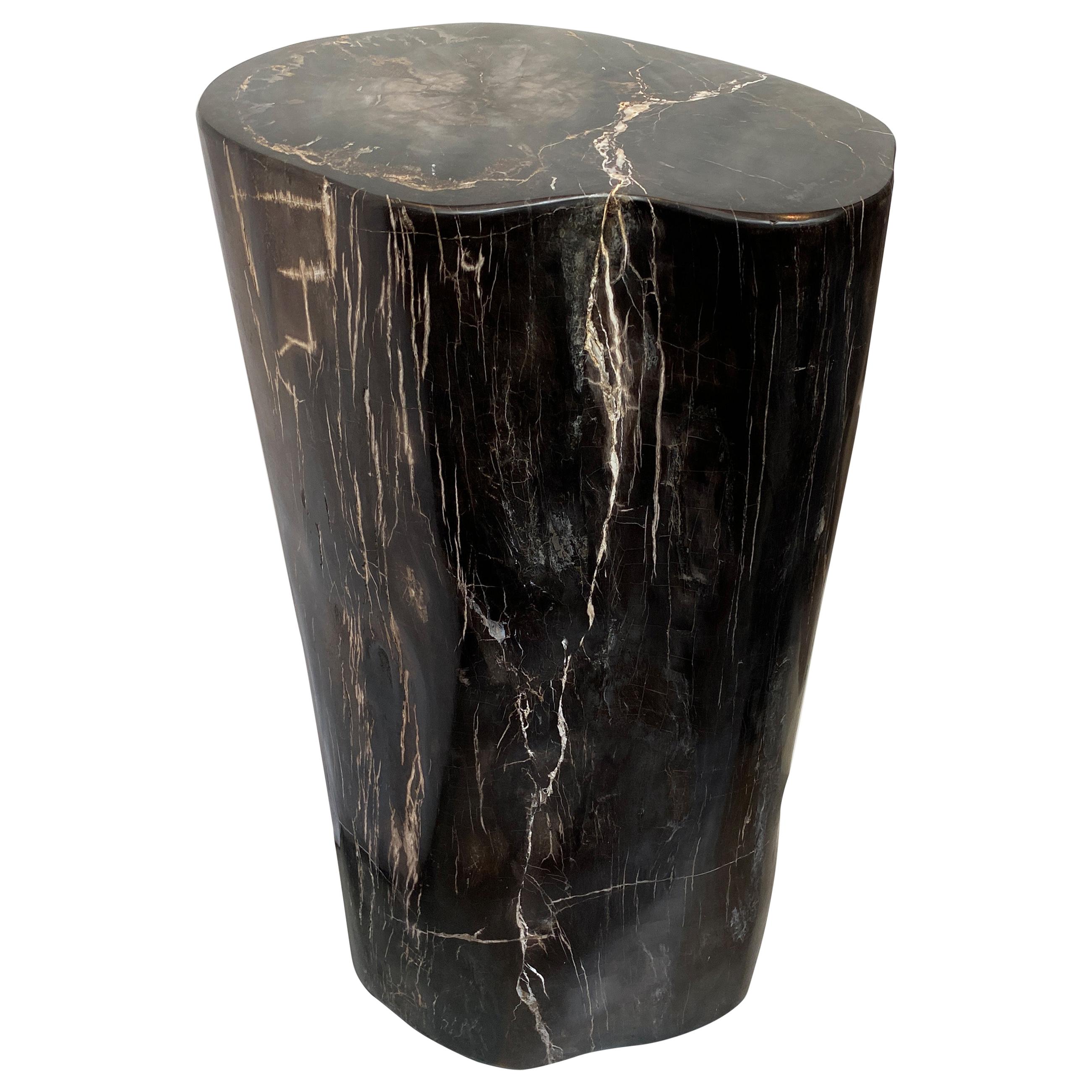 Andrianna Shamaris Super Smooth Column Petrified Wood Pedestal