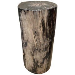 Andrianna Shamaris Super Smooth Column Petrified Wood Pedestal