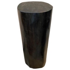 Andrianna Shamaris Super Smooth Column Petrified Wood Pedestal