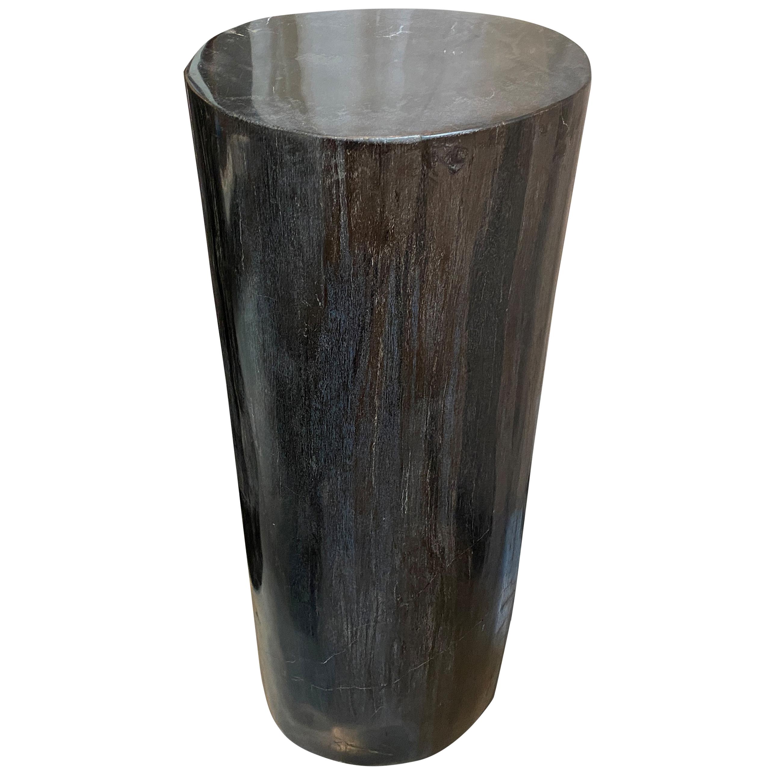 Andrianna Shamaris Super Smooth Column Petrified Wood Pedestal For Sale