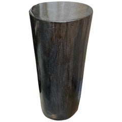 Andrianna Shamaris Super Smooth Column Petrified Wood Pedestal