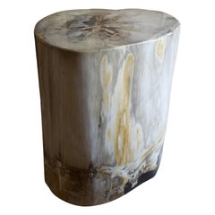 Andrianna Shamaris Super Smooth Grey Petrified Wood Side Table