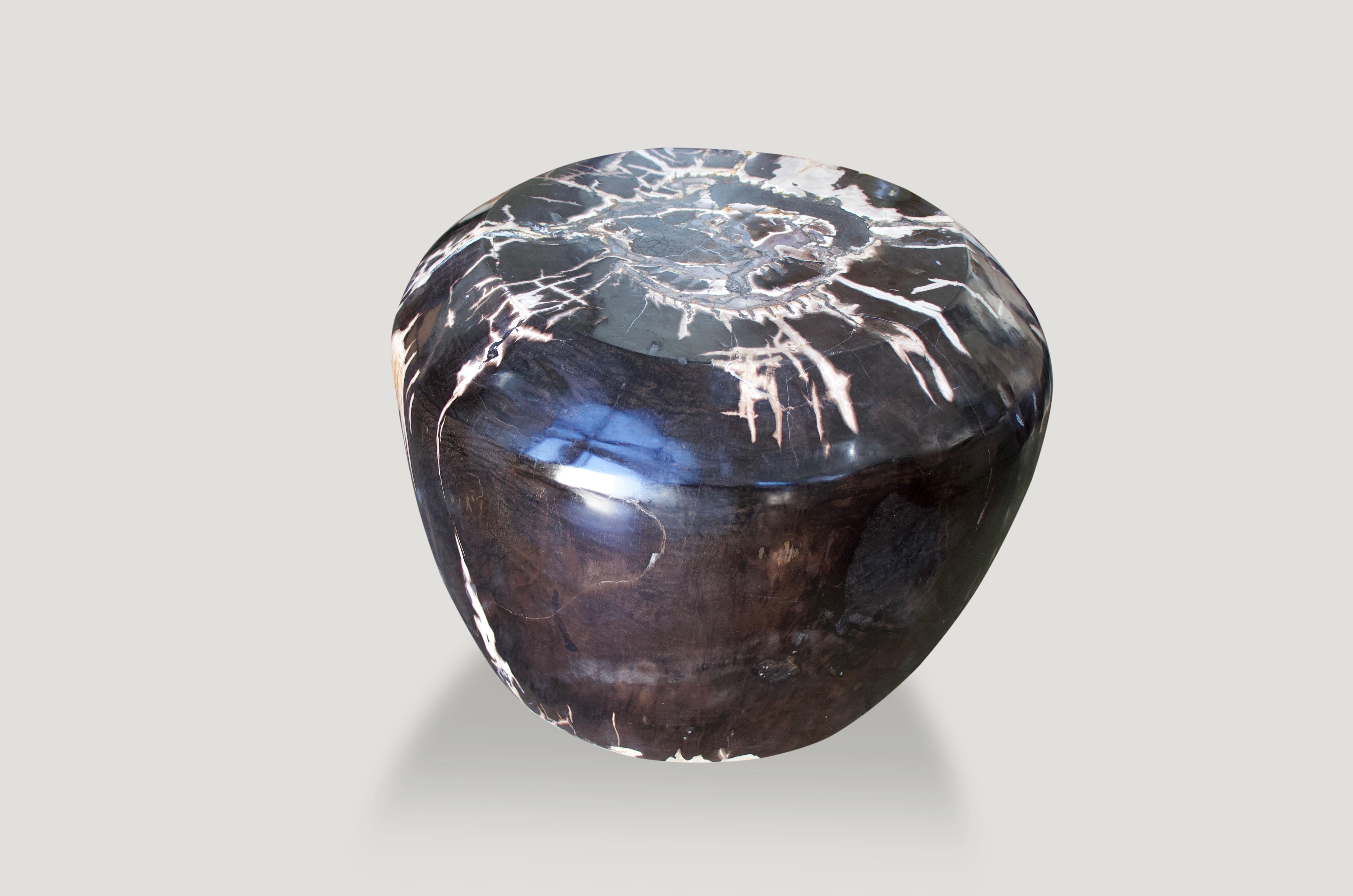 Organic Modern Andrianna Shamaris Super Smooth High Quality Petrified Wood Drum Side Table