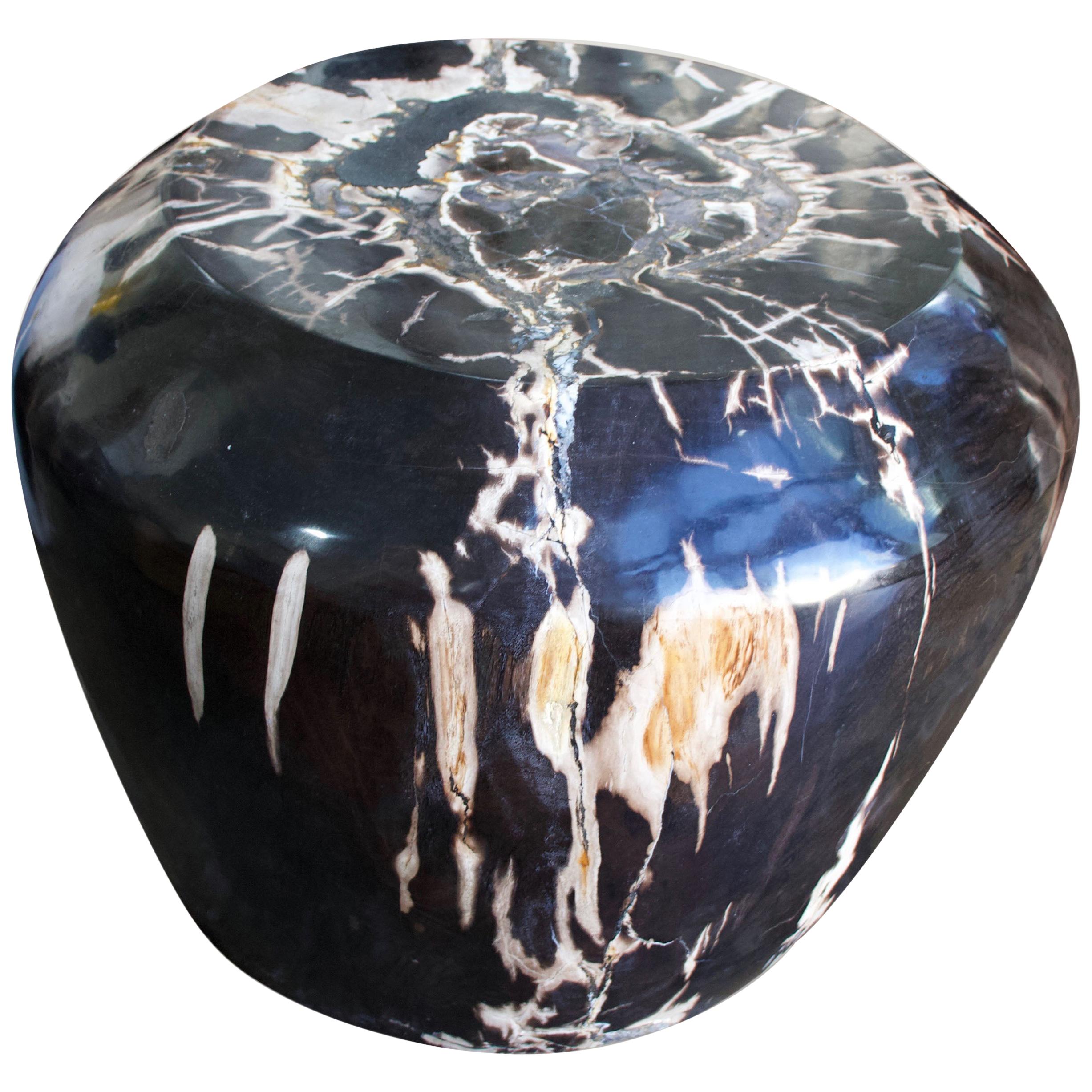 Andrianna Shamaris Super Smooth High Quality Petrified Wood Drum Side Table