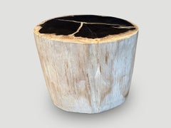 Andrianna Shamaris Super Smooth High Quality Petrified Wood Large Side Table