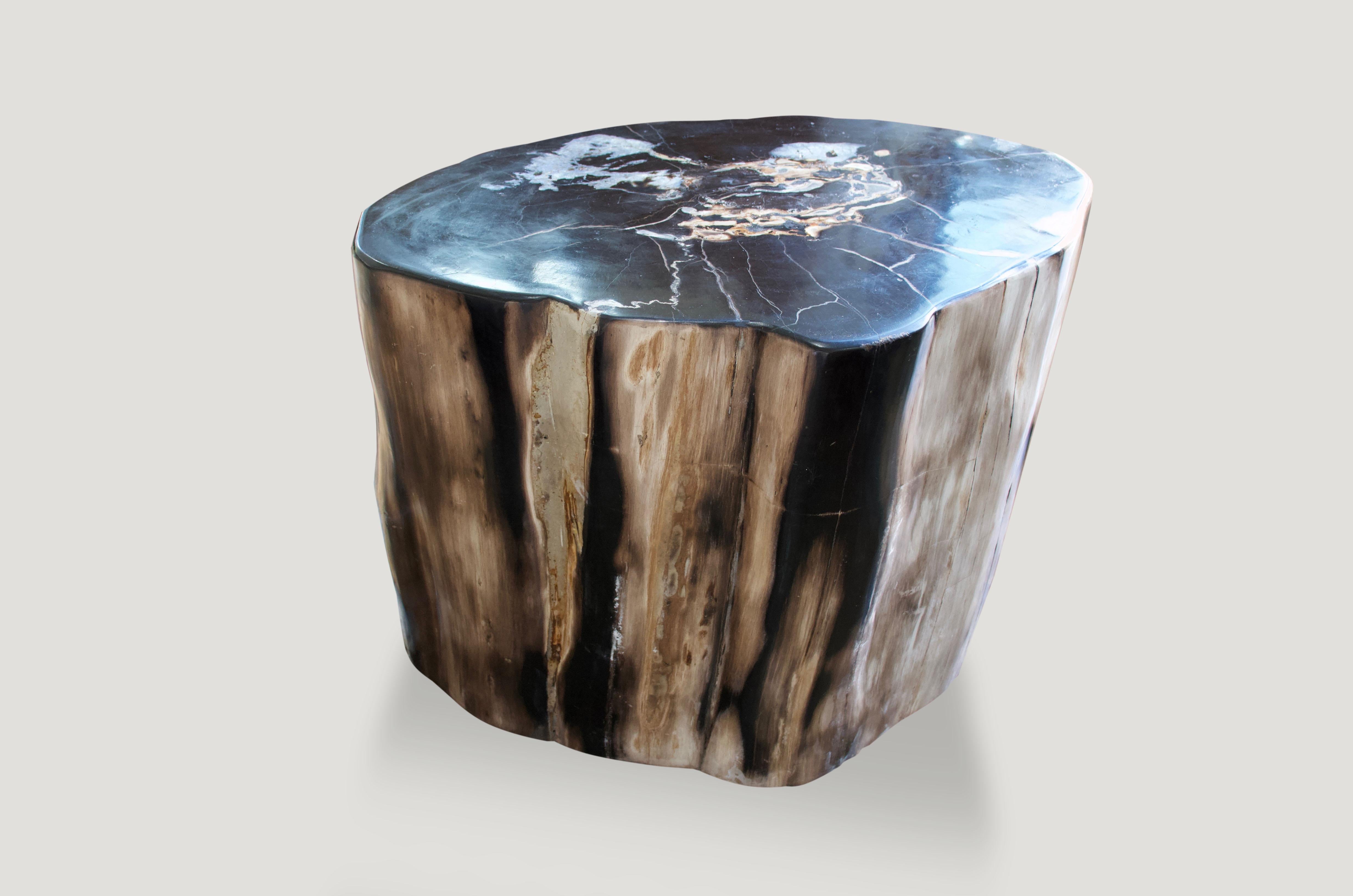 Fabulous color tones. We have a pair available, cut from the same petrified log. The price reflects one.

We source the highest quality petrified wood available. Each piece is hand selected and highly polished with minimal cracks. Petrified wood
