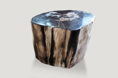 Andrianna Shamaris Super Smooth High Quality Petrified Wood Side Table