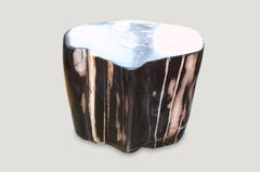 Andrianna Shamaris Super Smooth High Quality Petrified Wood Side Table