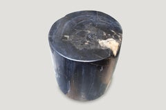 Andrianna Shamaris Super Smooth High Quality Petrified Wood Side Table