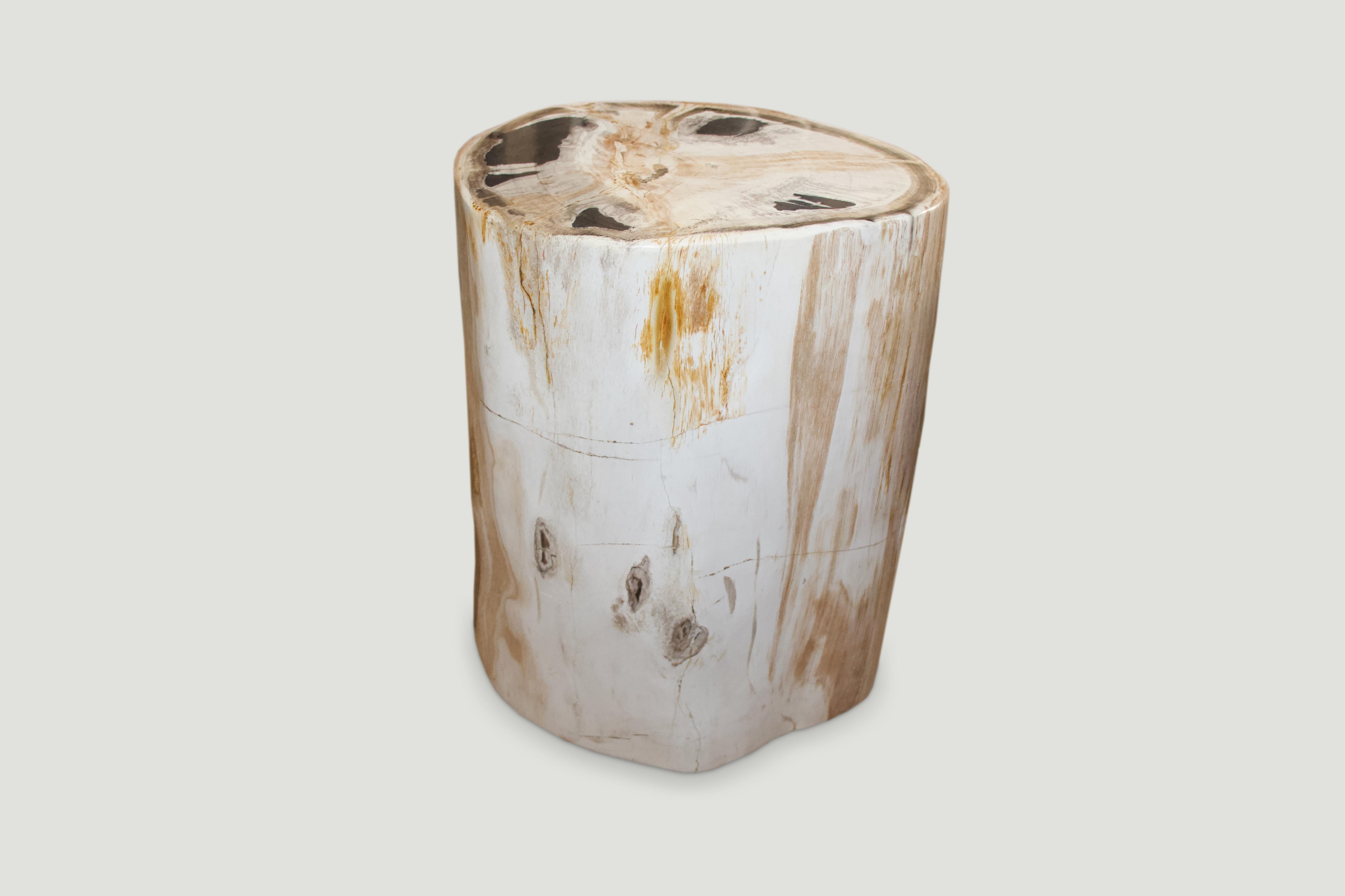 Soft pale natural markings on this super smooth, high quality petrified wood side table.

As with a diamond, we polish the highest quality fossilized petrified wood, using our latest ground breaking technology, to reveal its natural beauty and