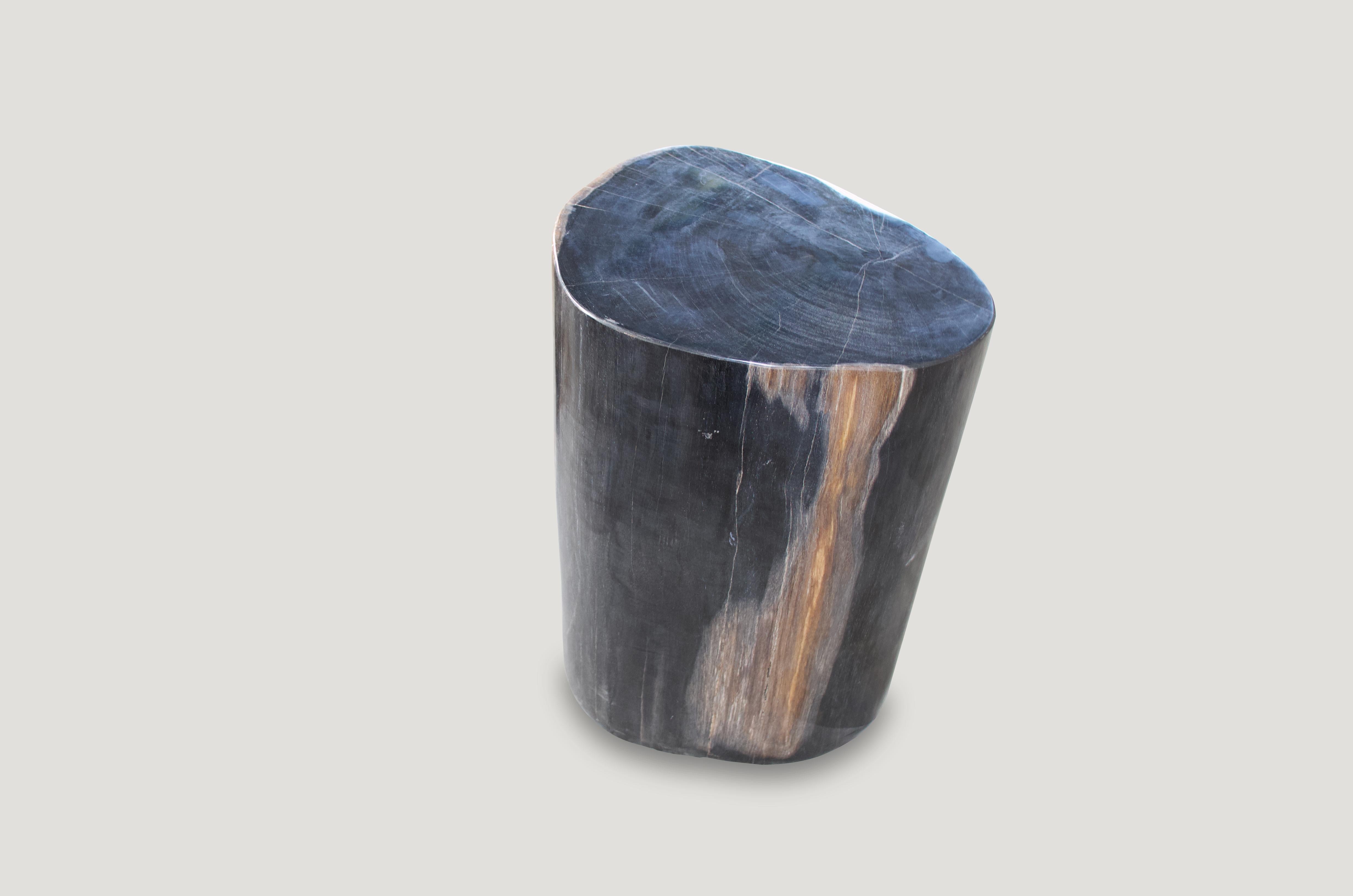 We have a pair of these rare, super smooth, contrasting toned petrified wood side tables, cut from the same log. The price represents the one shown.

As with a diamond, we polish the highest quality fossilized petrified wood, using our latest