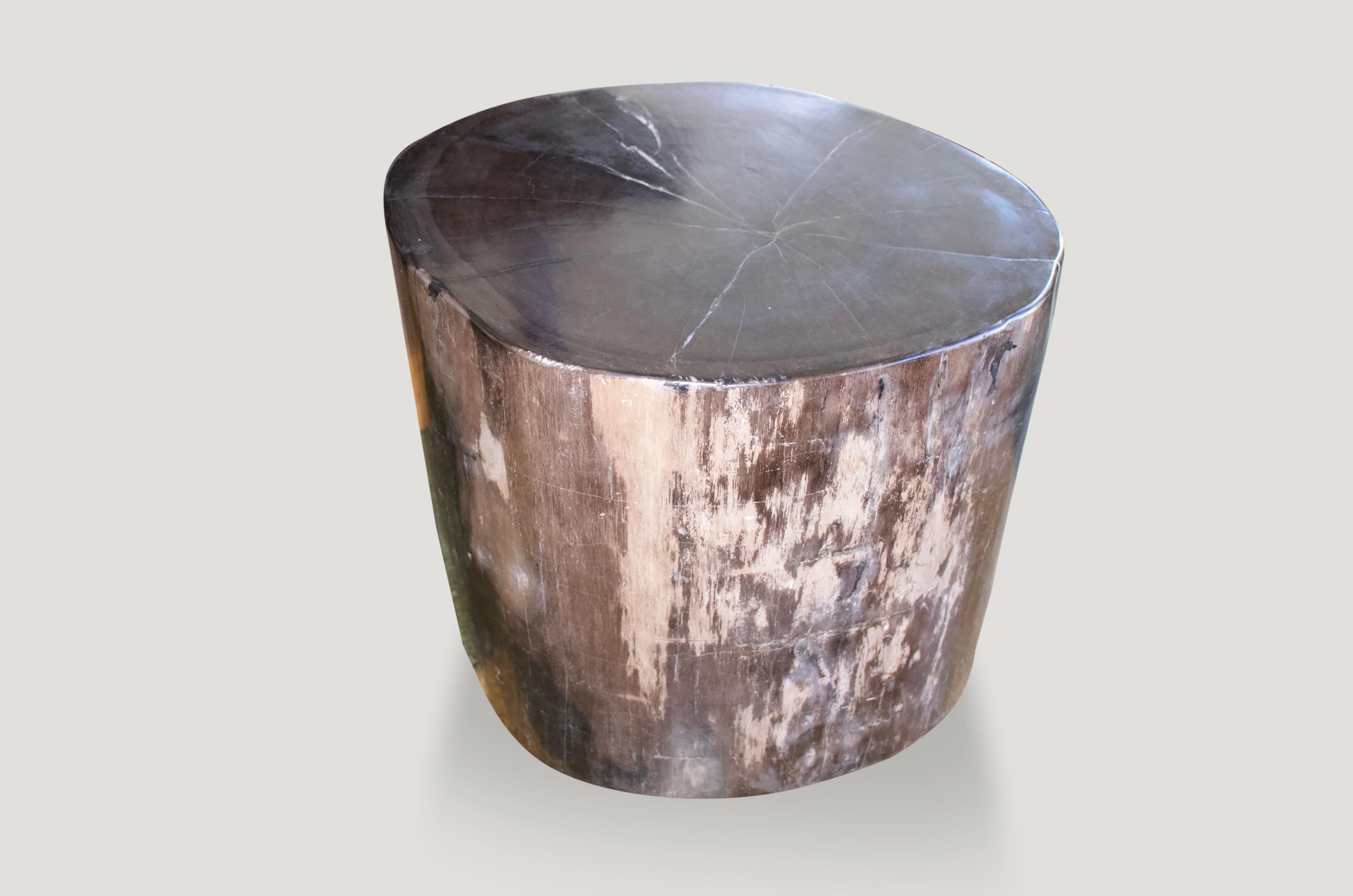 We source the highest quality petrified wood available. Each piece is hand-selected and highly polished with minimal cracks. Petrified wood is extremely versatile, even great inside a bathroom shower. Perfect as a cocktail table, side table or