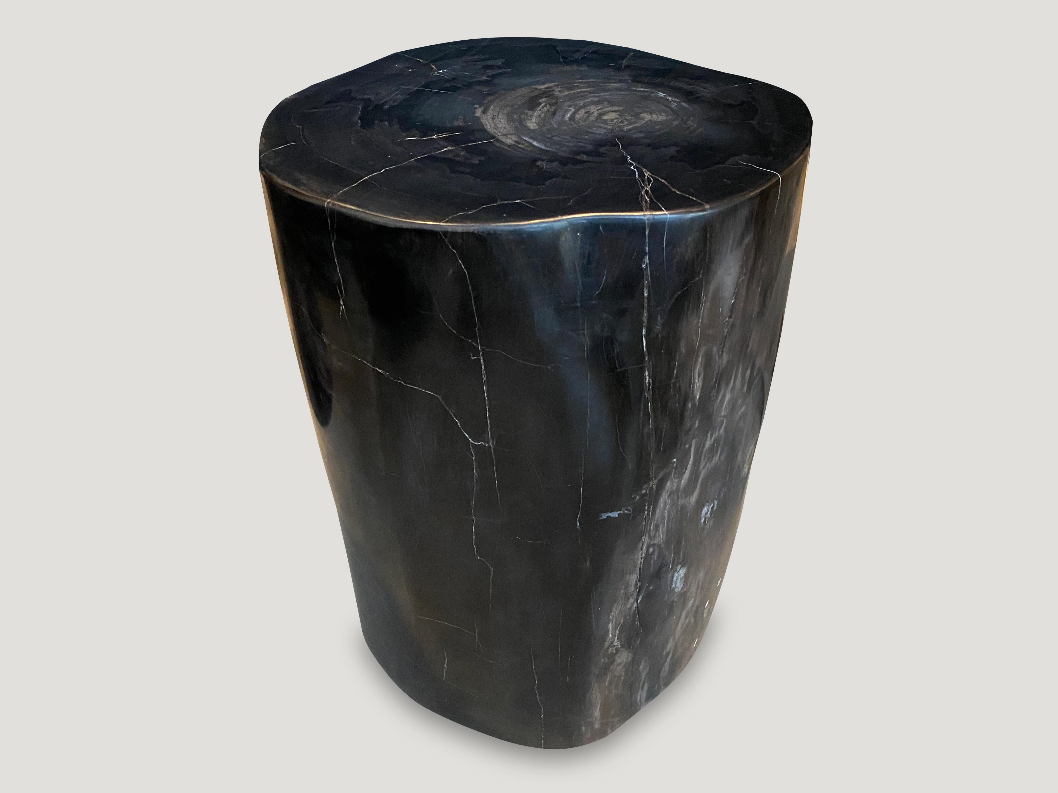 Impressive high quality petrified wood side table with striking contrasting markings. It’s fascinating how Mother Nature produces these stunning 40 million year old petrified teak logs with such contrasting and natural patterns throughout. Modern
