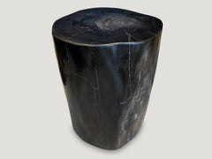 Andrianna Shamaris Super Smooth High Quality Petrified Wood Side Table