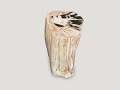Andrianna Shamaris Super Smooth High Quality Petrified Wood Side Table