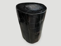 Andrianna Shamaris Super Smooth High Quality Petrified Wood Side Table