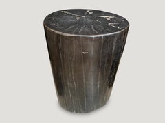 Andrianna Shamaris Super Smooth High Quality Petrified Wood Side Table