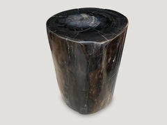 Andrianna Shamaris Super Smooth High Quality Petrified Wood Side Table