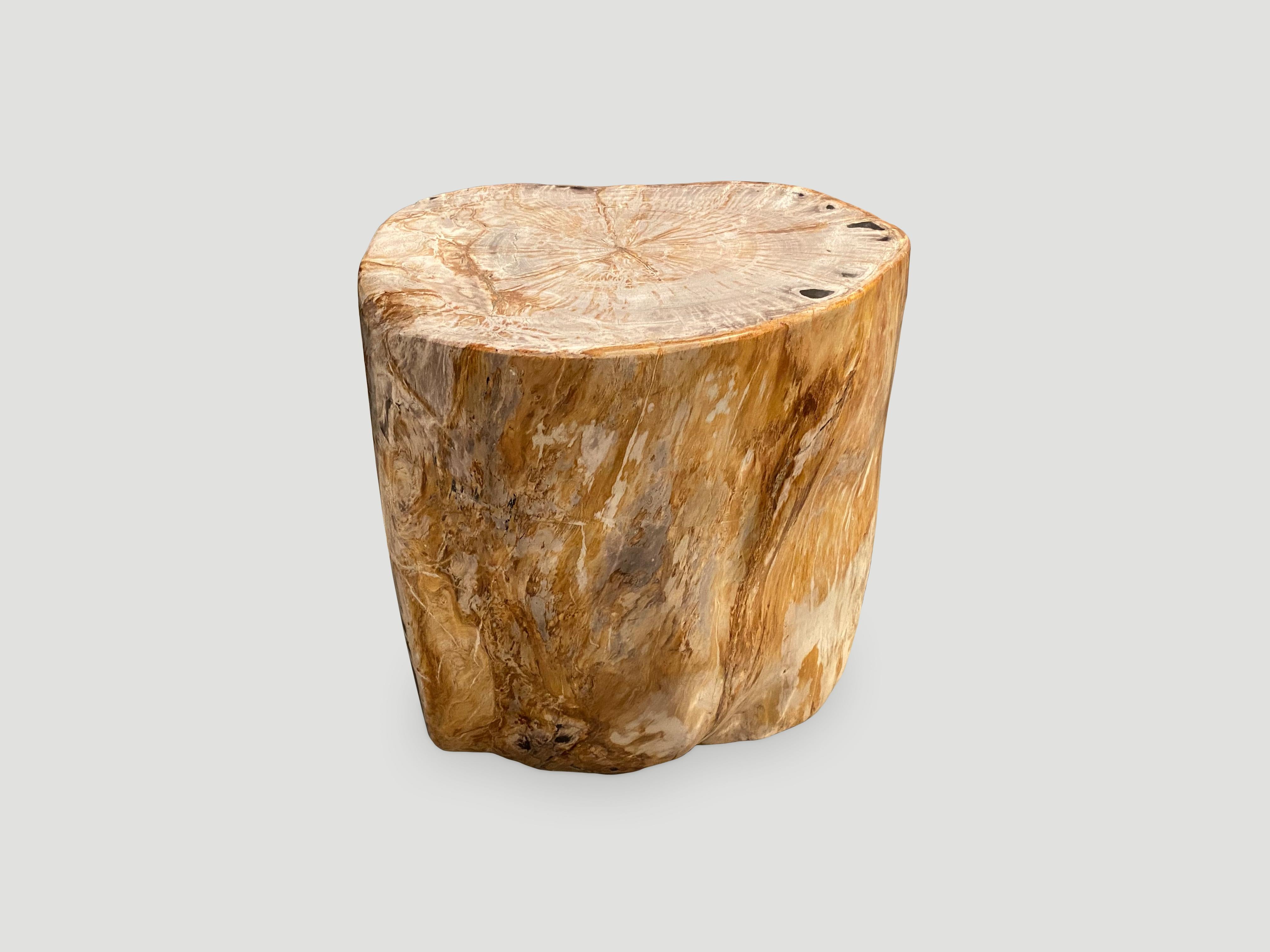 Beautiful high quality petrified wood side table. It’s fascinating how Mother Nature produces these exquisite 40 million year old petrified teak logs with such contrasting colors and natural patterns and markings throughout. Modern yet with so much