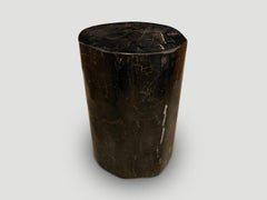 Andrianna Shamaris Super Smooth High Quality Petrified Wood Side Table