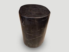 Andrianna Shamaris Mesa auxiliar de madera petrificada de alta calidad super lisa