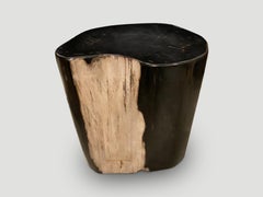 Andrianna Shamaris Super Smooth High Quality Petrified Wood Side Table