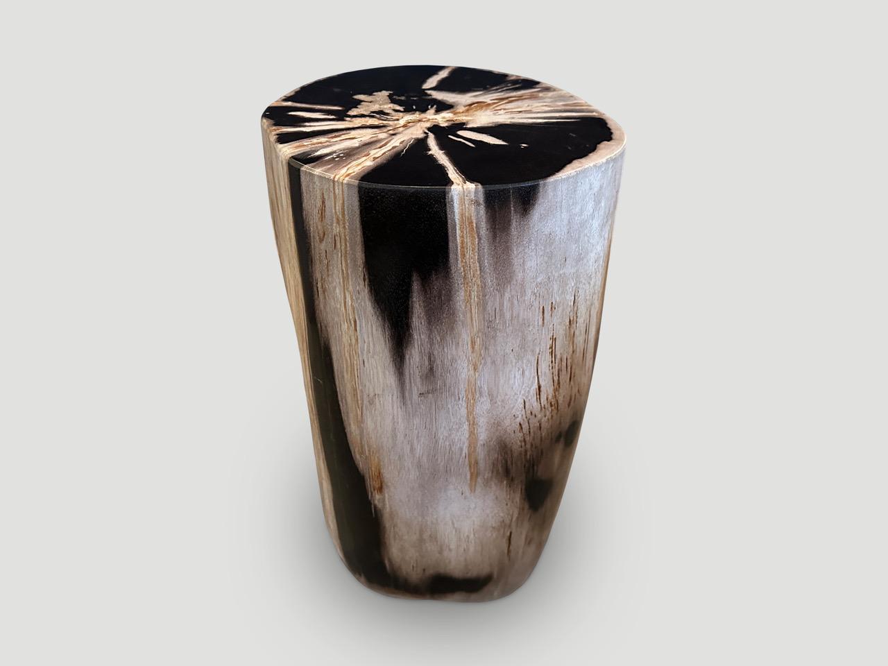 Beautiful contrasting tones on this high quality super smooth petrified wood side table. It’s fascinating how Mother Nature produces these stunning 40 million year old petrified teak logs with such contrasting colors and natural patterns throughout.