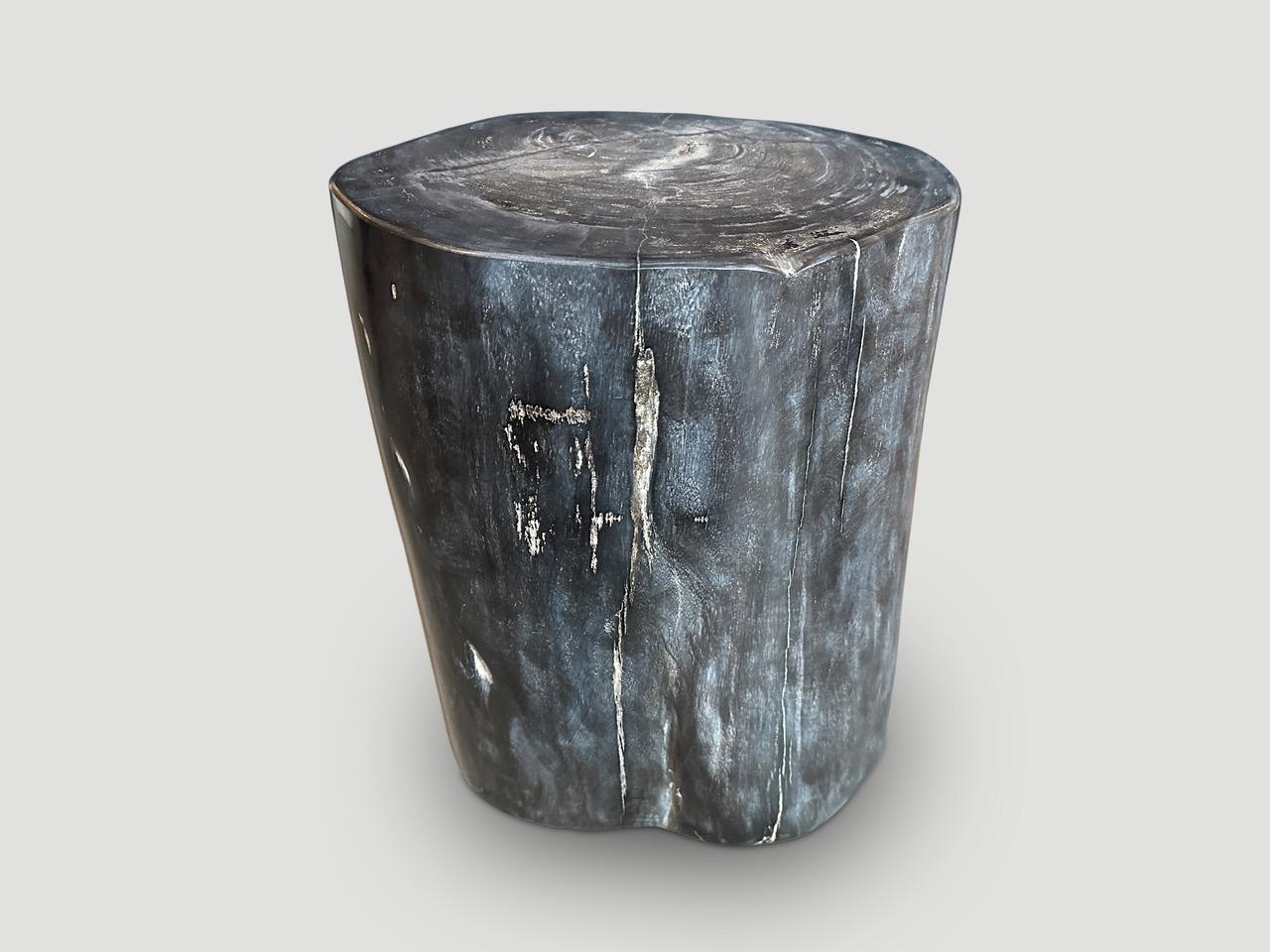 Impressive beautiful grey tones on this high quality super smooth petrified wood side table. It’s fascinating how Mother Nature produces these stunning 40 million year old petrified teak logs with such contrasting colors and natural patterns