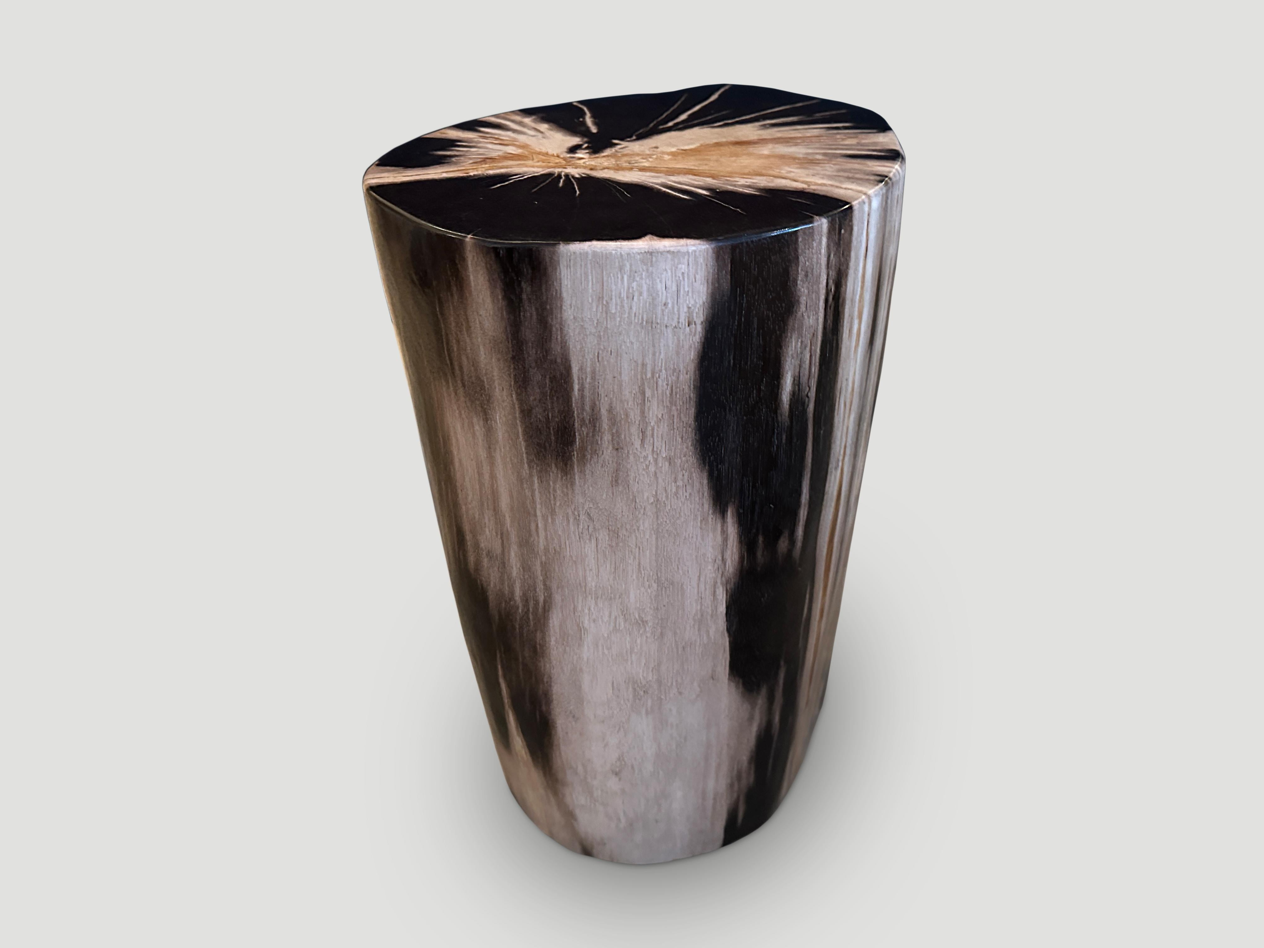 Beautiful contrasting tones and markings on this high quality super smooth petrified wood side table. It’s fascinating how Mother Nature produces these stunning 40 million year old petrified teak logs with such contrasting colors and natural