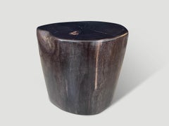 Andrianna Shamaris Super Smooth High Quality Petrified Wood Side Table