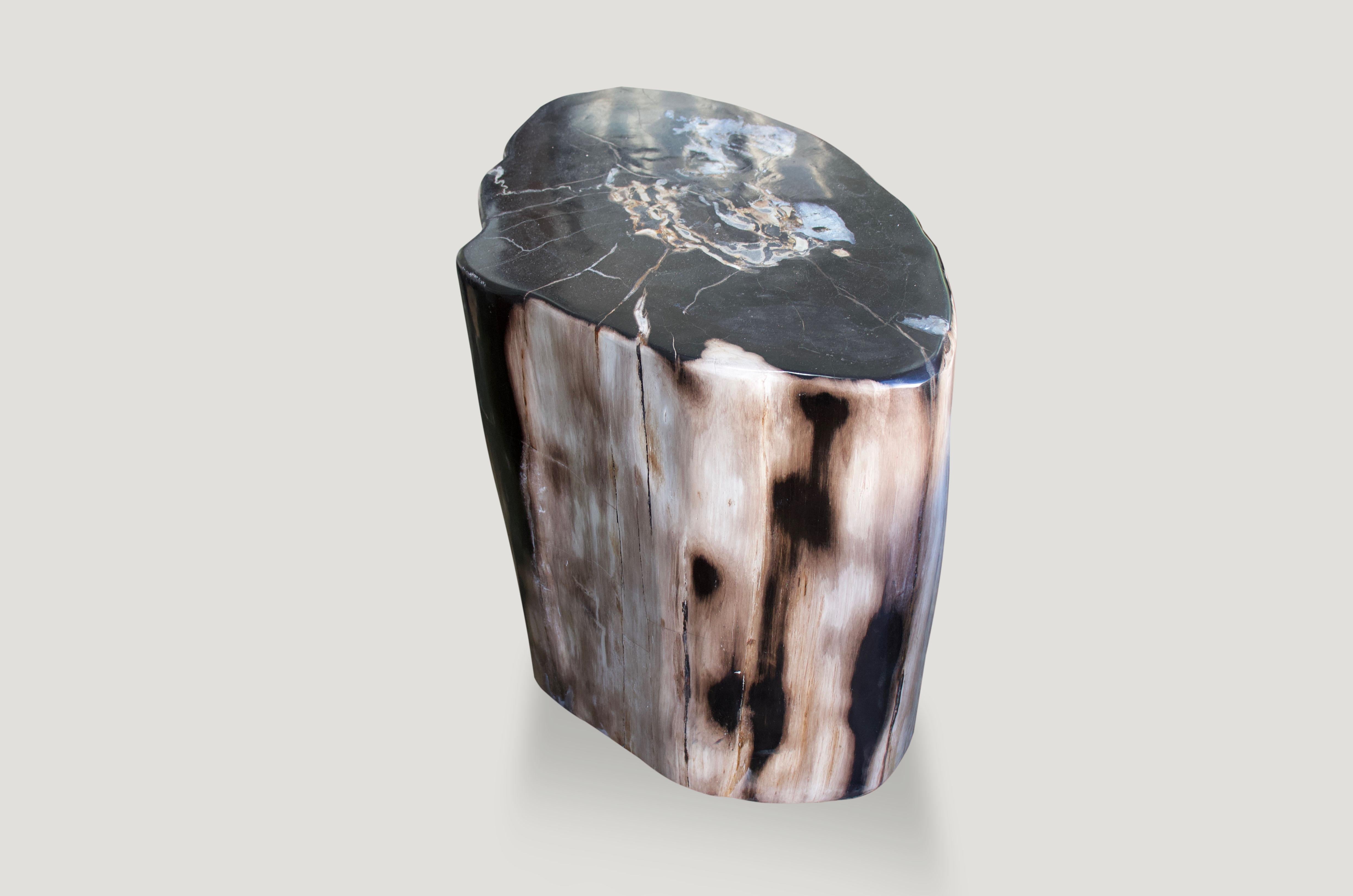 Organic Modern Andrianna Shamaris Super Smooth High Quality Petrified Wood Side Table