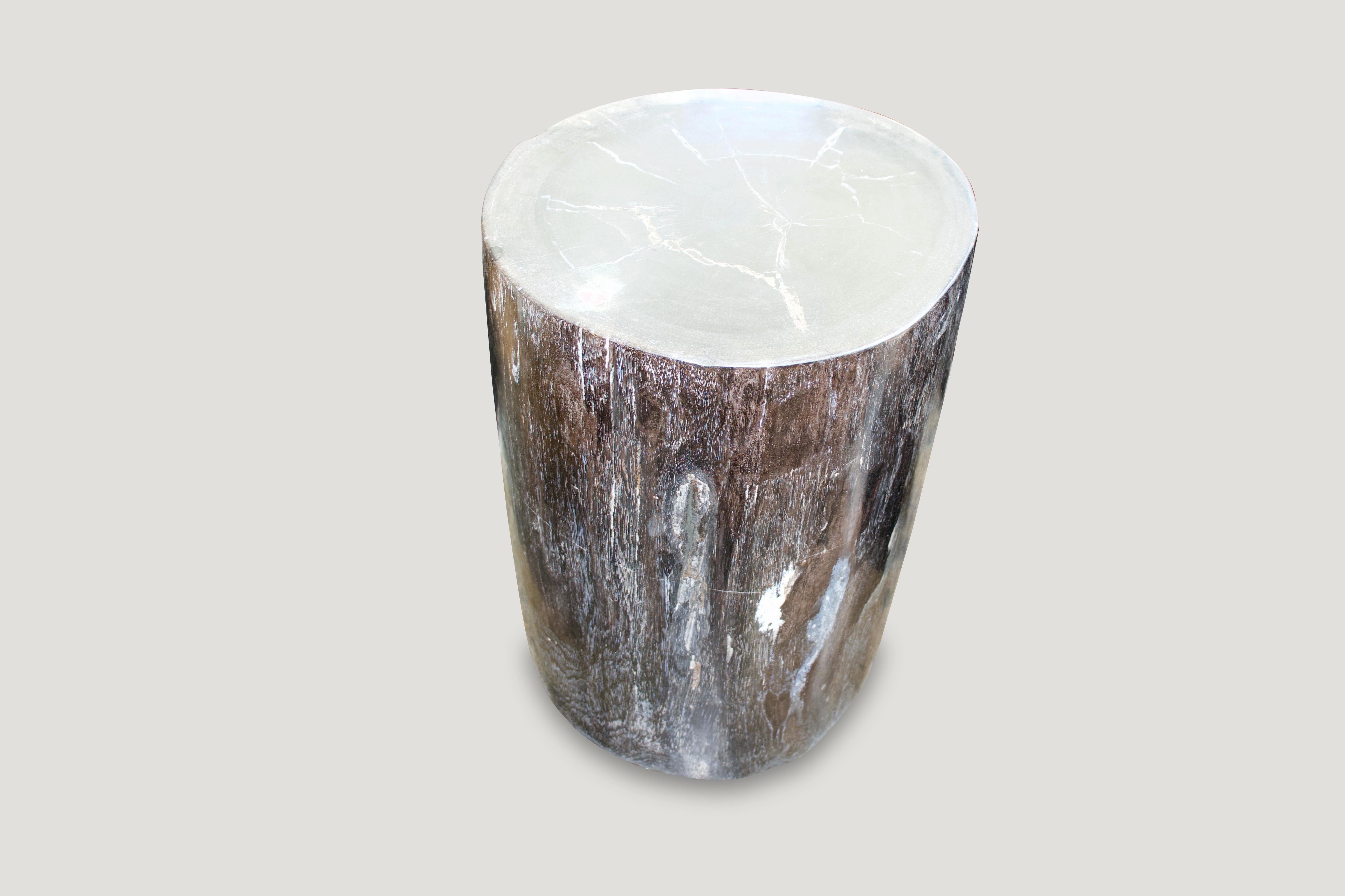 Organic Modern Andrianna Shamaris Super Smooth High Quality Petrified Wood Side Table