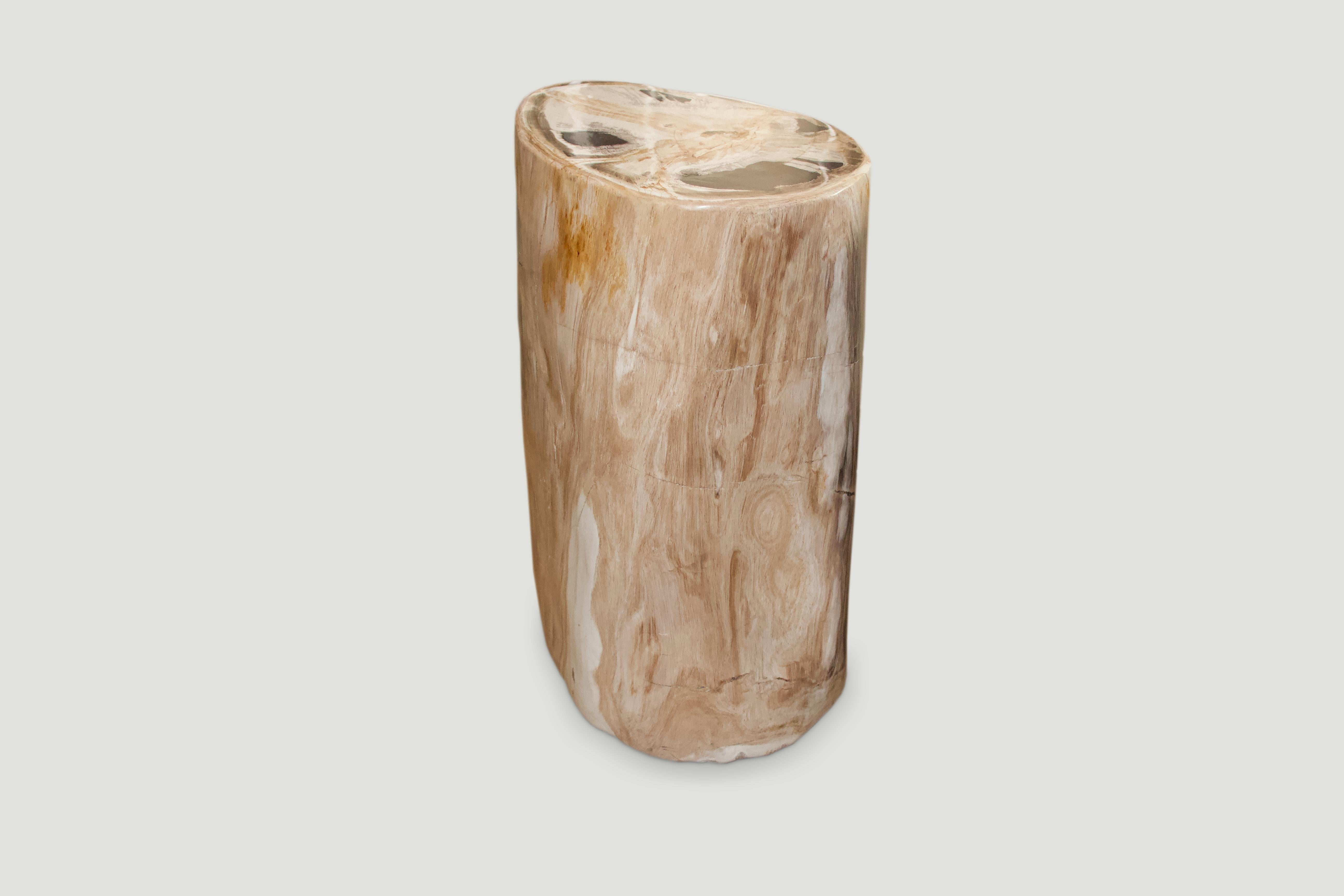 Organic Modern Andrianna Shamaris Super Smooth High Quality Petrified Wood Side Table