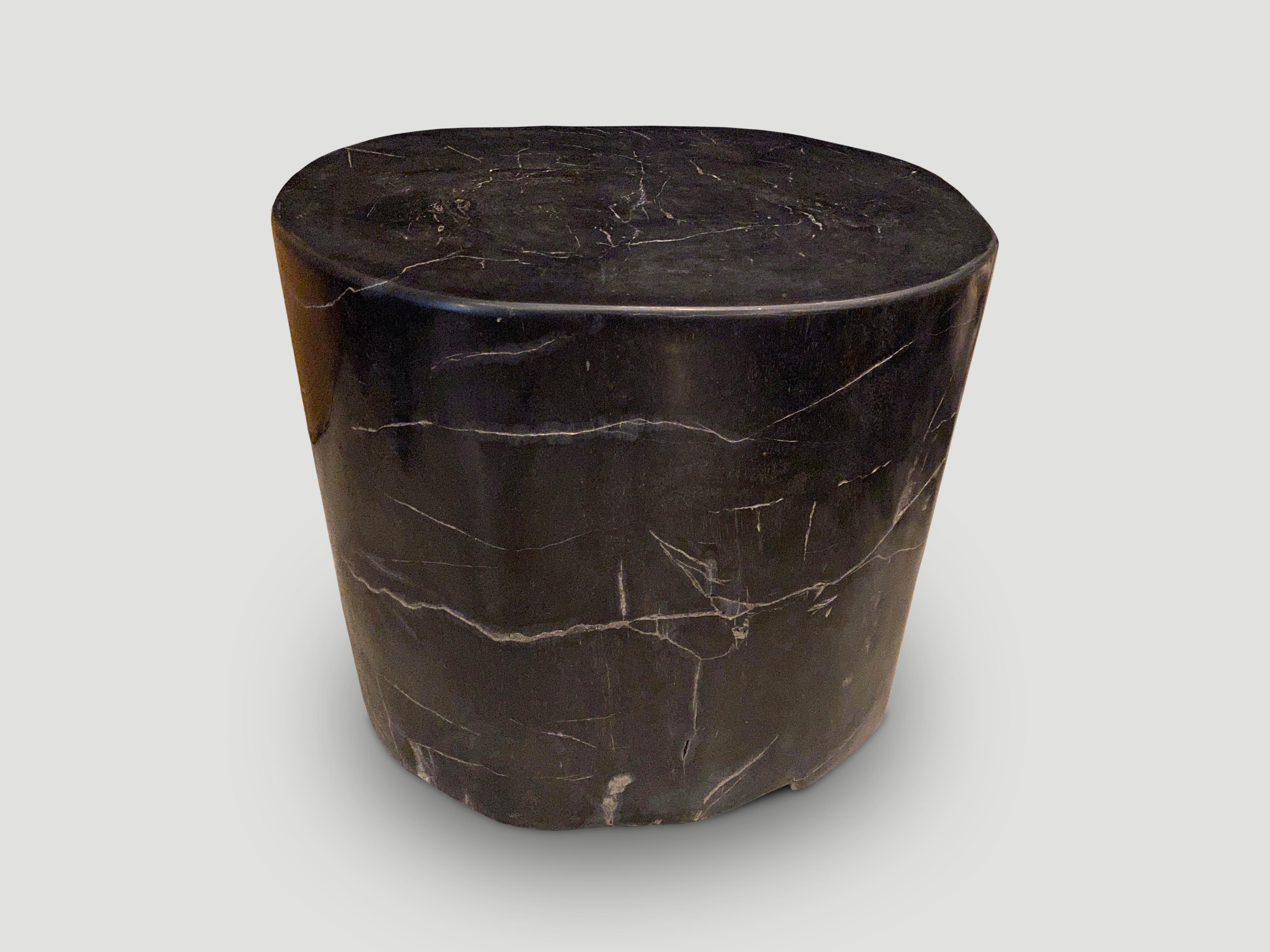 Organic Modern Andrianna Shamaris Super Smooth High Quality Petrified Wood Side Table For Sale