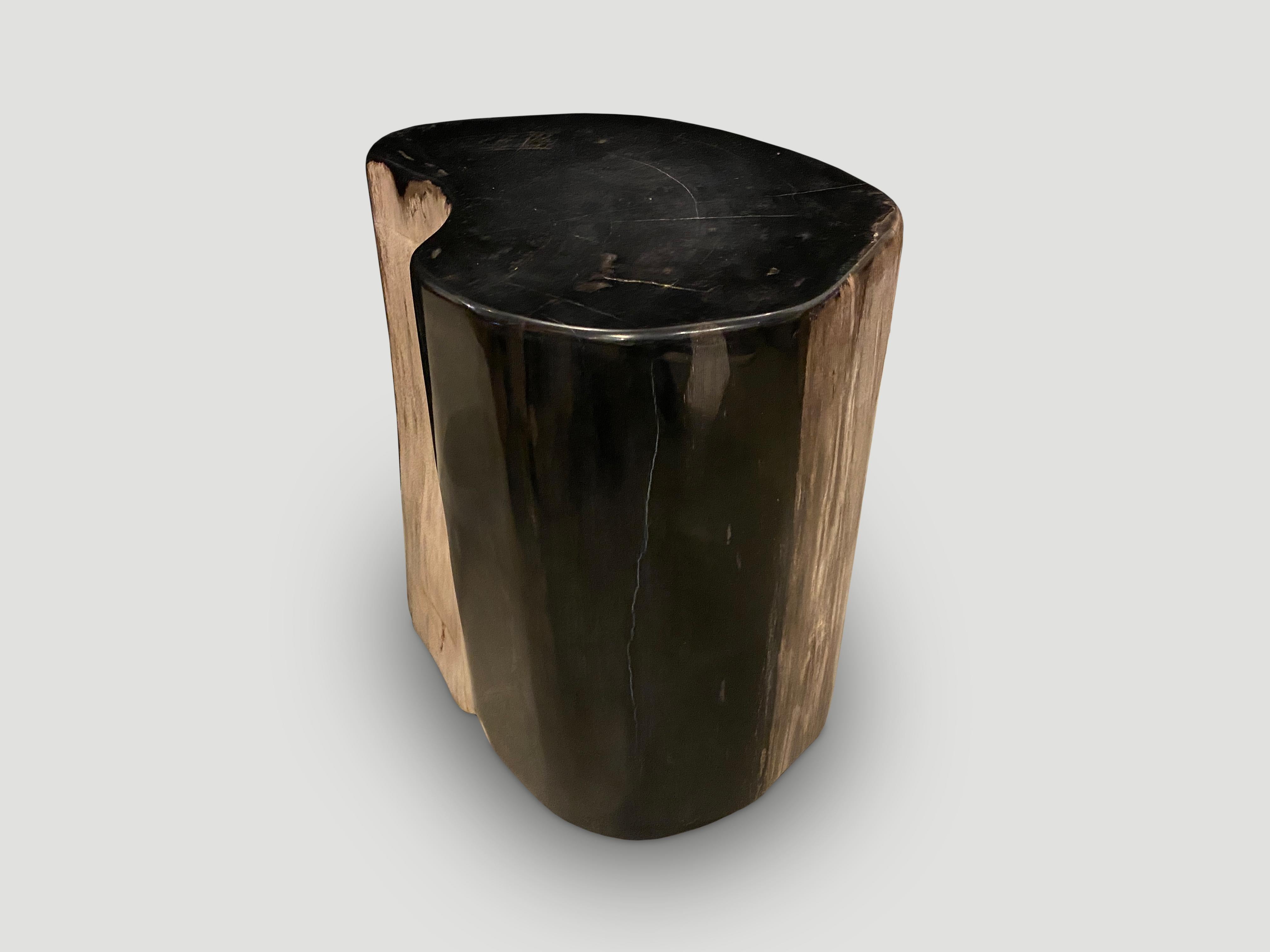 Organic Modern Andrianna Shamaris Super Smooth High Quality Petrified Wood Side Table For Sale