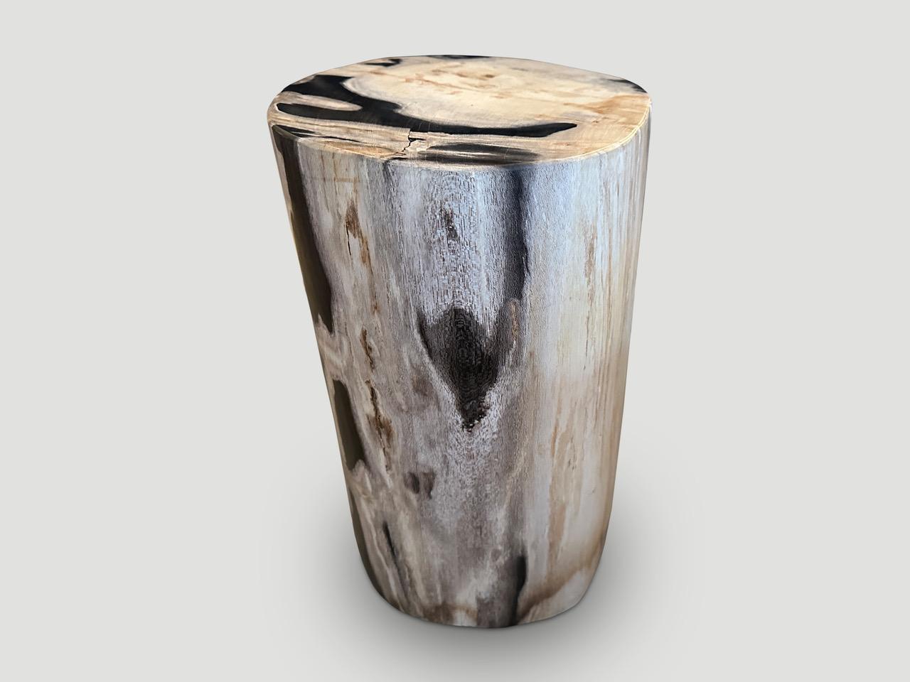 Organic Modern Andrianna Shamaris Super Smooth High Quality Petrified Wood Side Table For Sale